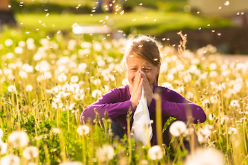 Eye Health Disease Allergies